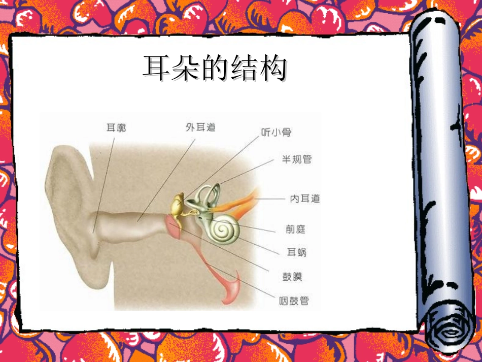 爱护自己的耳朵_第3页