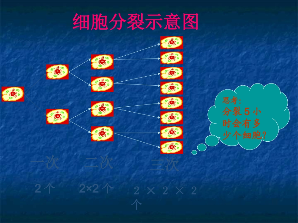 有有理数的乘方第一课时_第3页