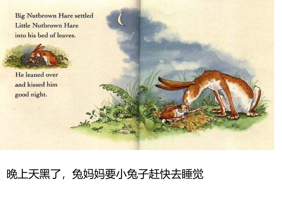 猜猜我有多爱你课件_第2页
