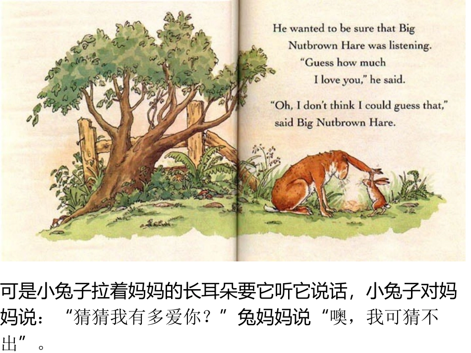 猜猜我有多爱你课件_第3页