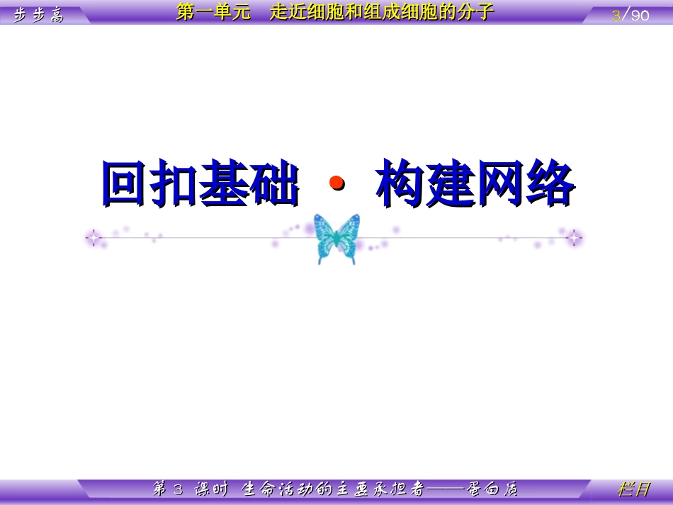 上课—蛋白质兴_第3页