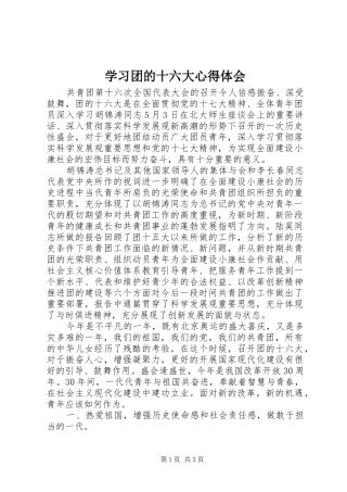 学习团的十六大心得体会