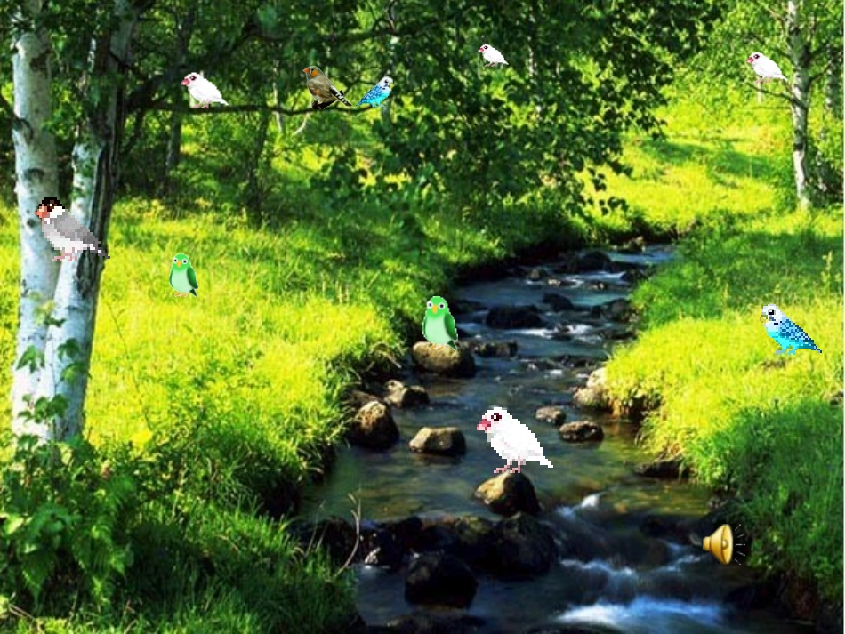 《珍珠鸟》教学课件_第2页