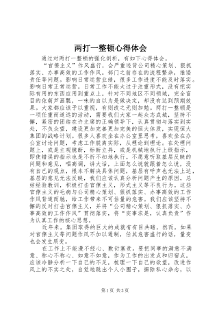 两打一整顿心得体会