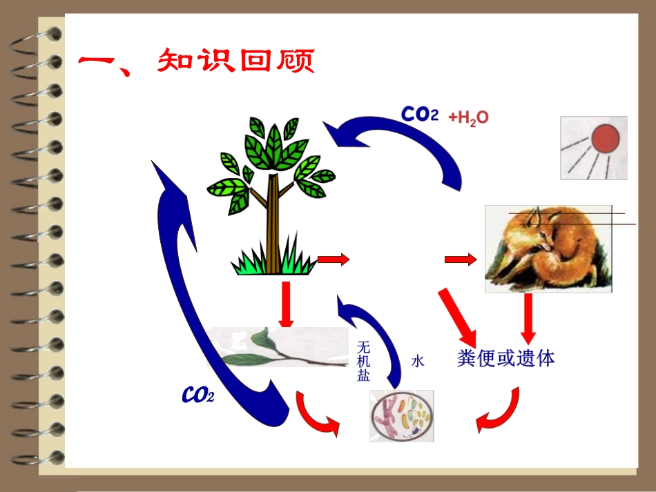 人教版八年级上册生物53动物在生物圈中的作用（共27张PPT）_第2页