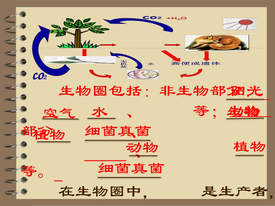 人教版八年级上册生物53动物在生物圈中的作用（共27张PPT）_第3页