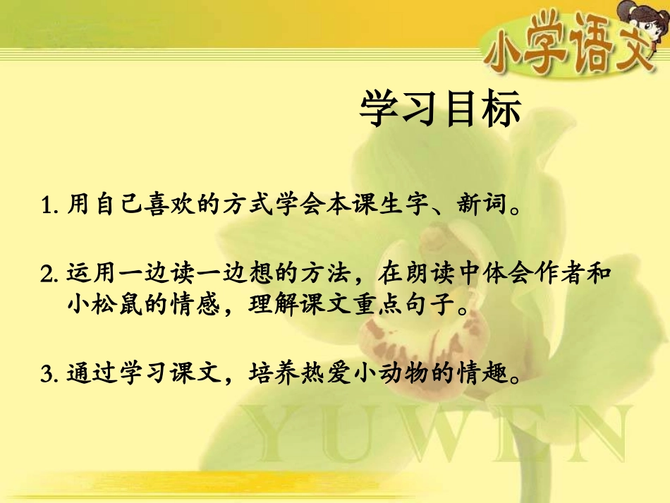 《那只松鼠》课件(湘教版四年级上册语文课件)_第2页