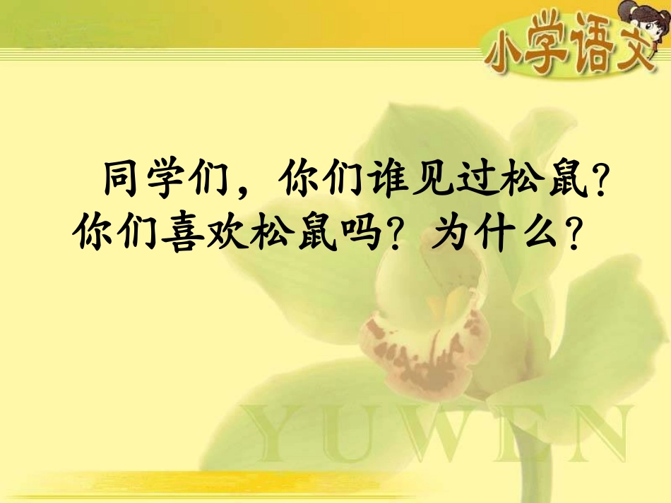 《那只松鼠》课件(湘教版四年级上册语文课件)_第3页