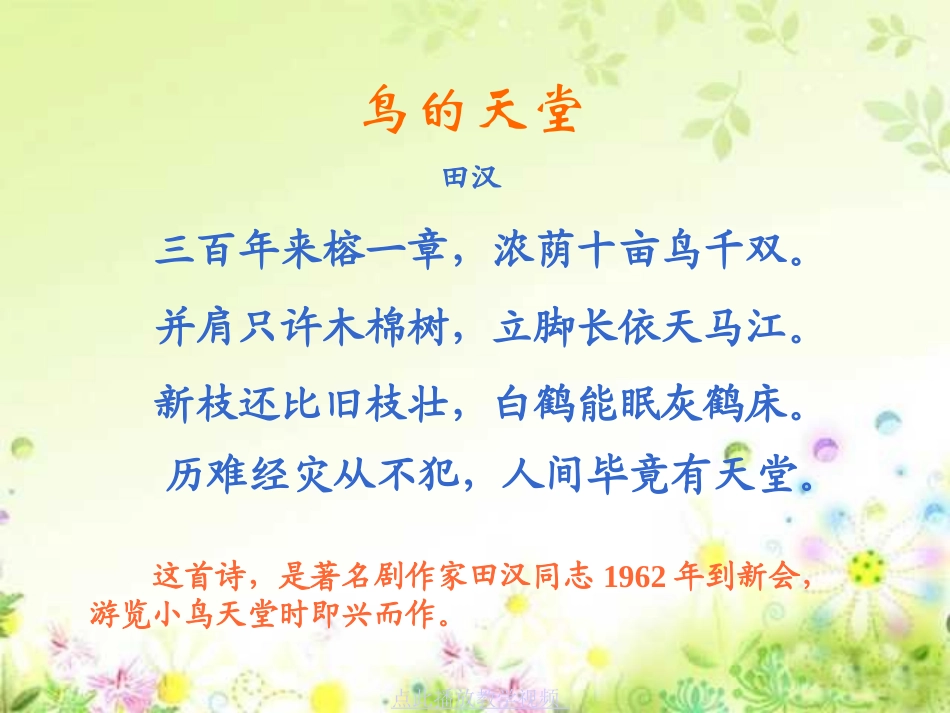 人教版四年级语文上册《鸟的天堂》PPT课件 (3)_第2页