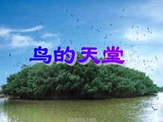 人教版四年级语文上册《鸟的天堂》PPT课件 (3)