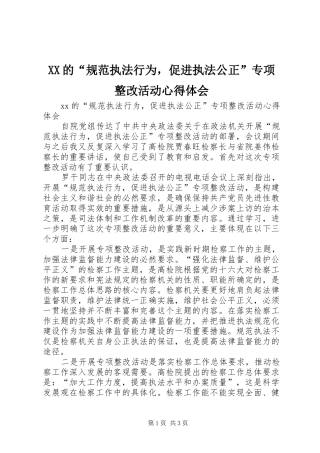 XX的“规范执法行为，促进执法公正”专项整改活动心得体会