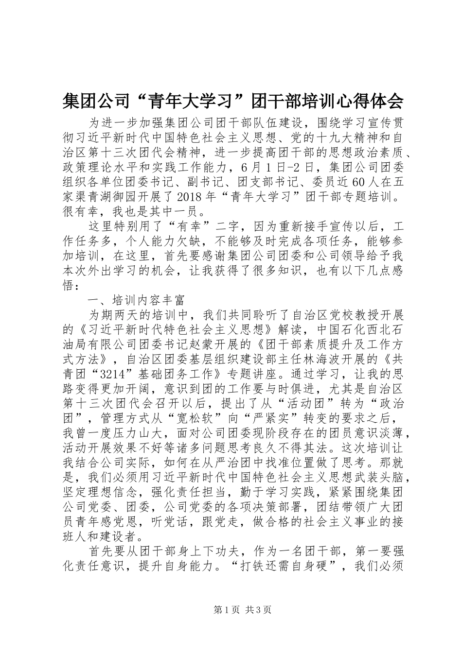 集团公司“青年大学习”团干部培训心得体会_第1页