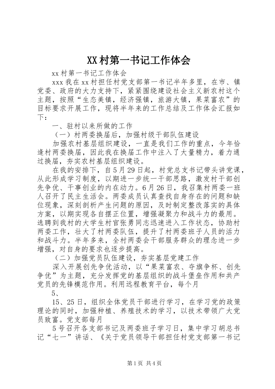 XX村第一书记工作体会_第1页