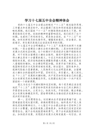 学习十七届五中全会精神体会