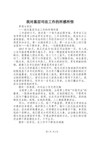 我对基层司法工作的所感所悟