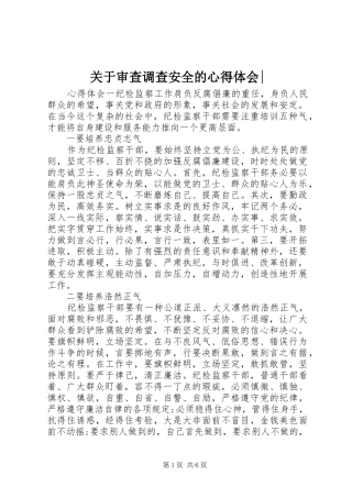 关于审查调查安全的心得体会-