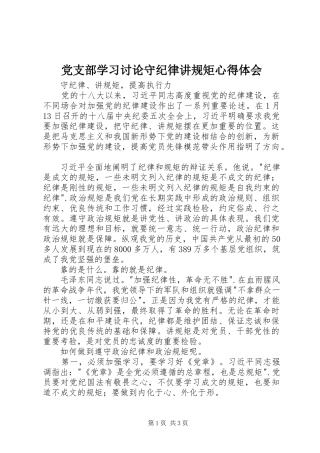 党支部学习讨论守纪律讲规矩心得体会