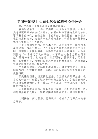 学习中纪委十七届七次会议精神心得体会