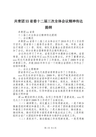 共青团XX省委十二届三次全体会议精神传达提纲