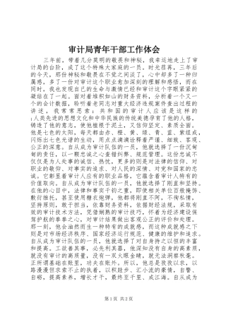 审计局青年干部工作体会