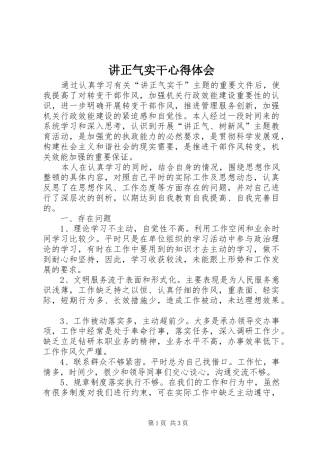 讲正气实干心得体会