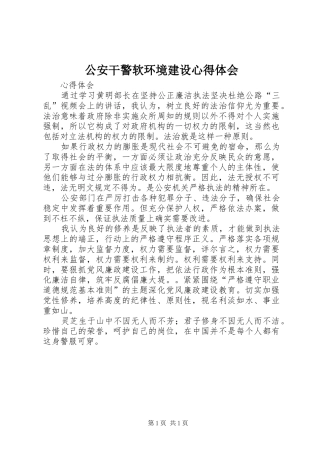 公安干警软环境建设心得体会