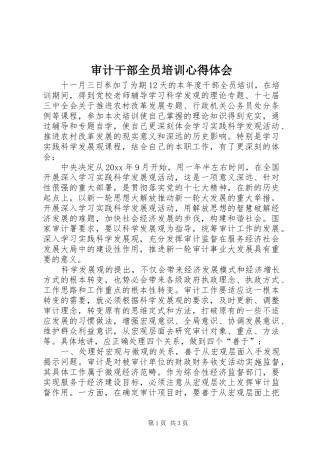 审计干部全员培训心得体会