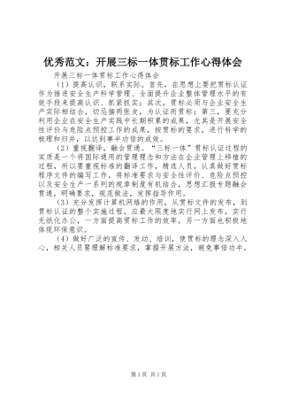 优秀范文：开展三标一体贯标工作心得体会