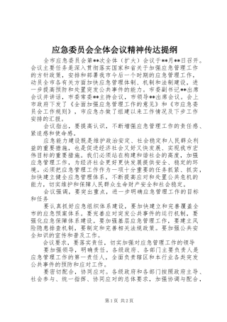 应急委员会全体会议精神传达提纲