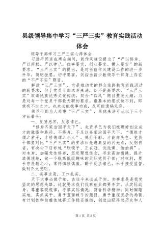 县级领导集中学习“三严三实”教育实践活动体会