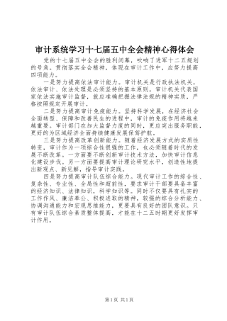 审计系统学习十七届五中全会精神心得体会