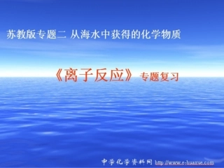 离子反应专题复习（学校公开课）