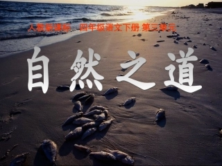 自然之道课件1