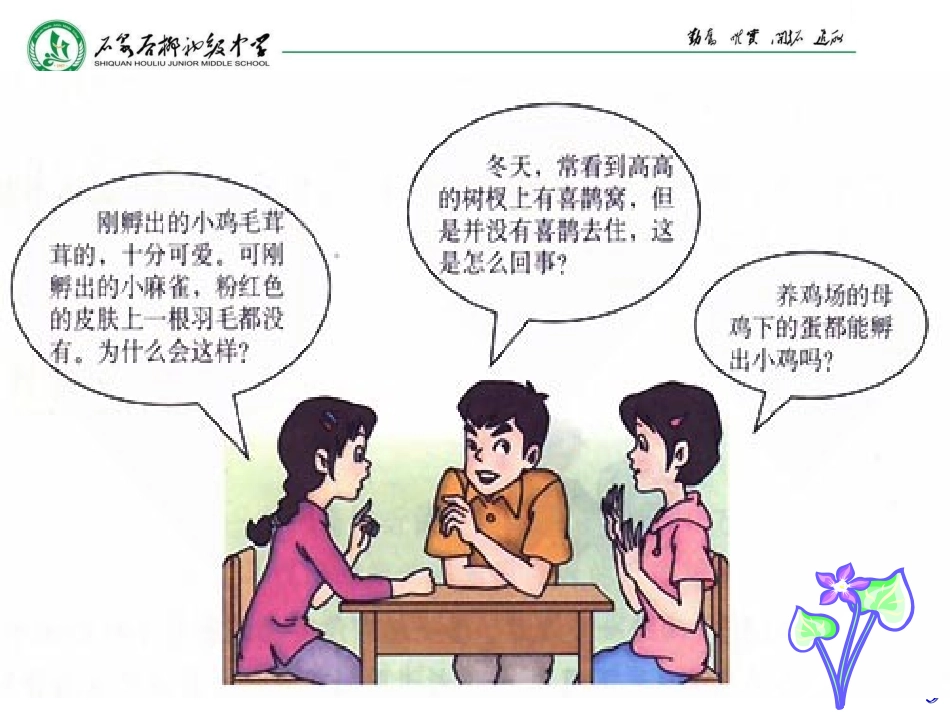 鸟类的生殖和发育 (2)_第3页