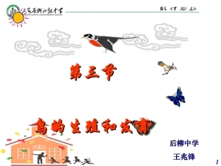 鸟类的生殖和发育 (2)