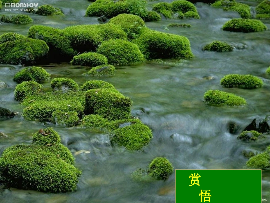 《山中访友》 (2)_第3页