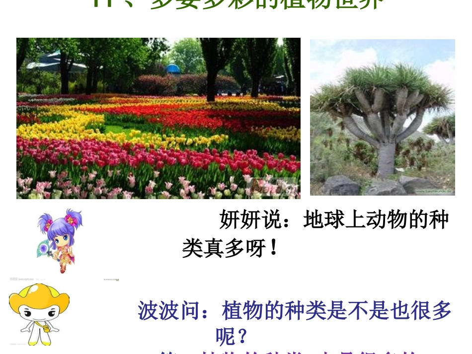 多姿多彩的植物世界_第1页