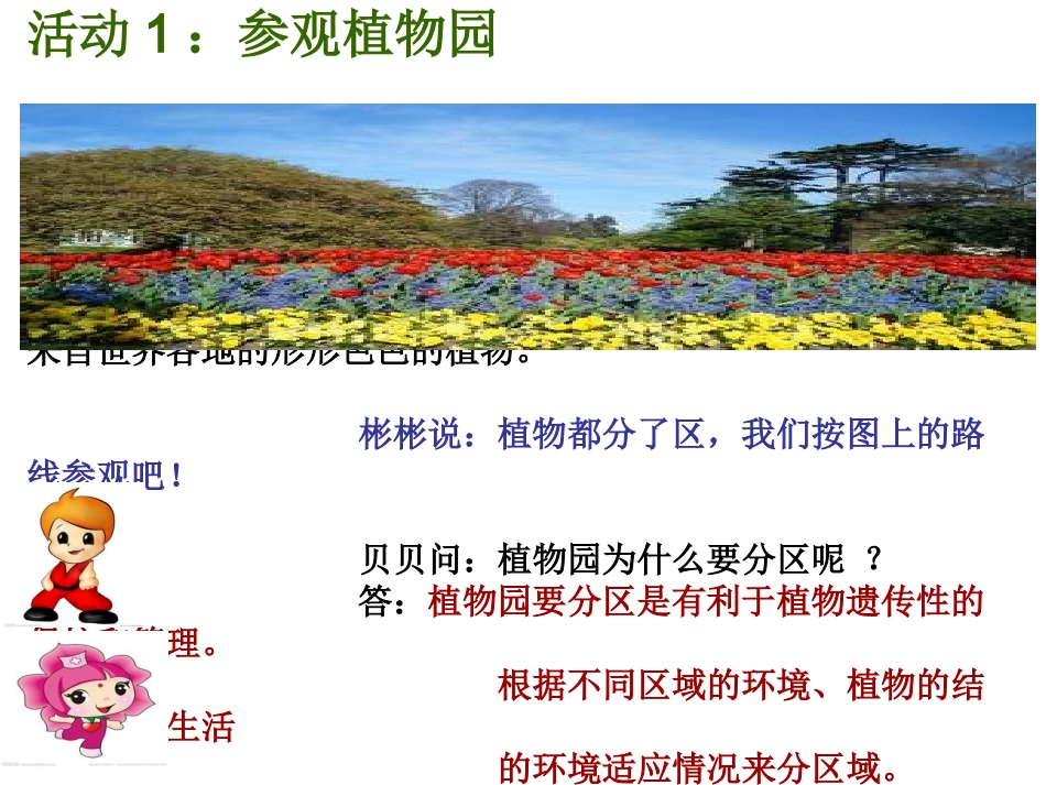 多姿多彩的植物世界_第2页