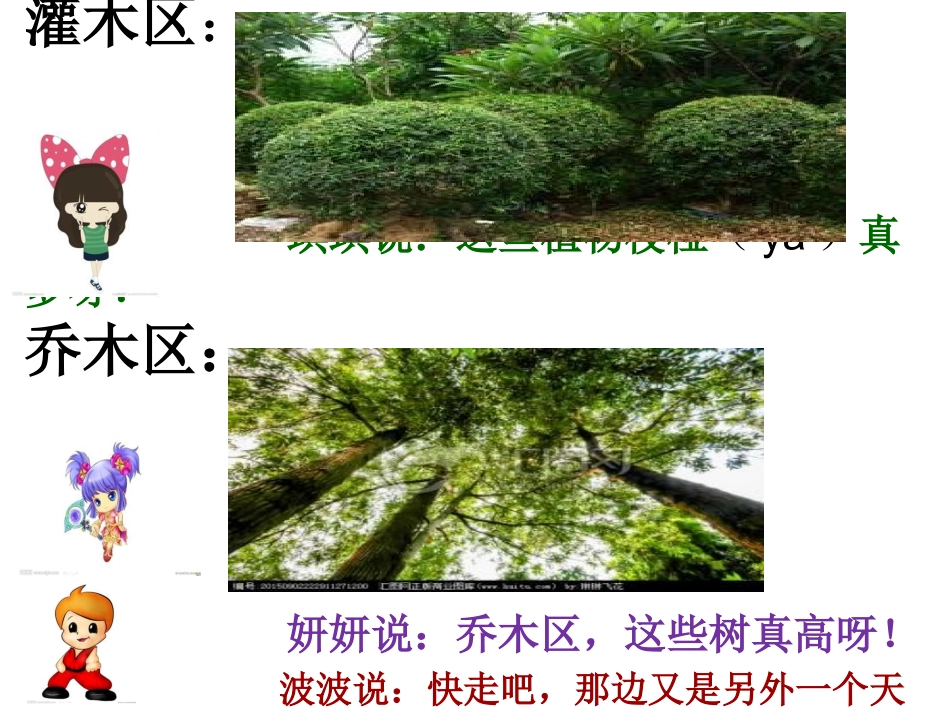 多姿多彩的植物世界_第3页