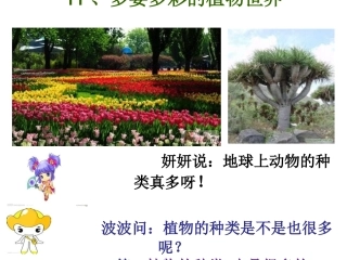 多姿多彩的植物世界