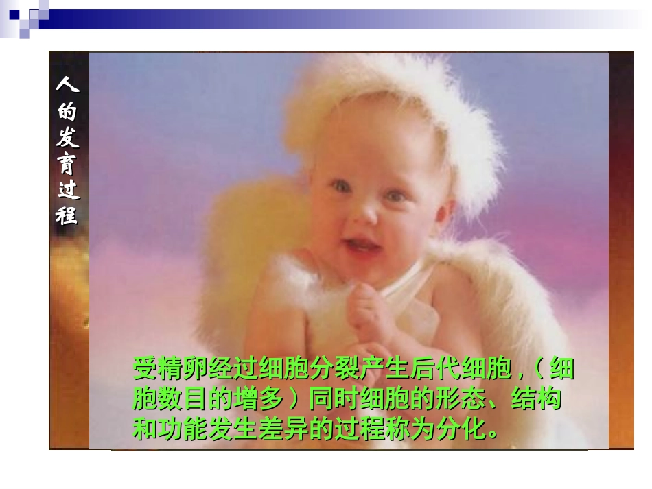 第四章第二节细胞的分化１_第2页