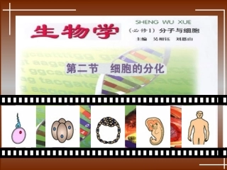 第四章第二节细胞的分化１