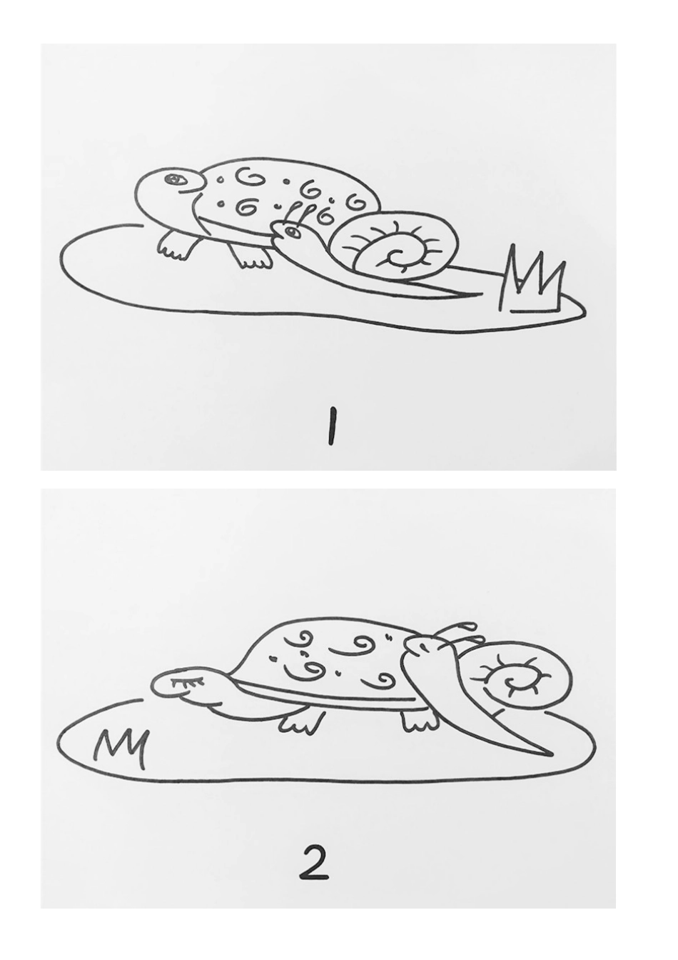 大班《小乌龟和小蜗牛》_第1页