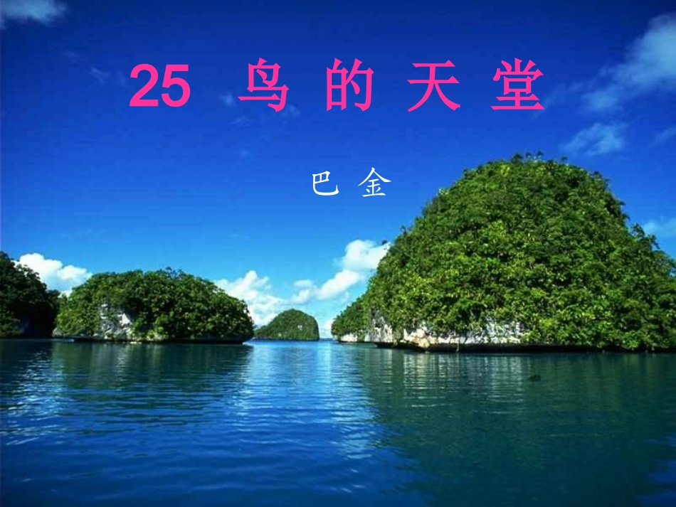 《鸟的天堂》课件()_第1页