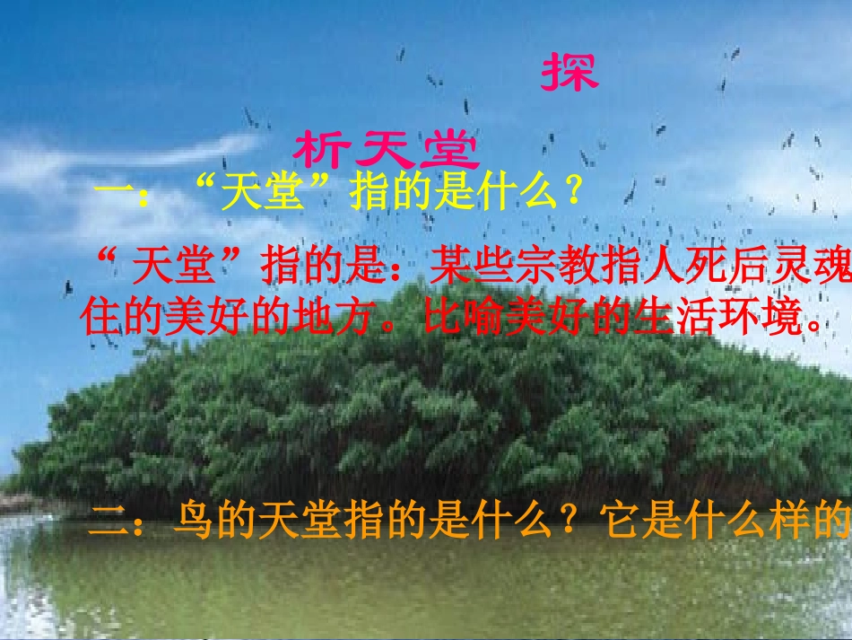 《鸟的天堂》课件()_第2页