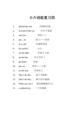 小六词组复习四