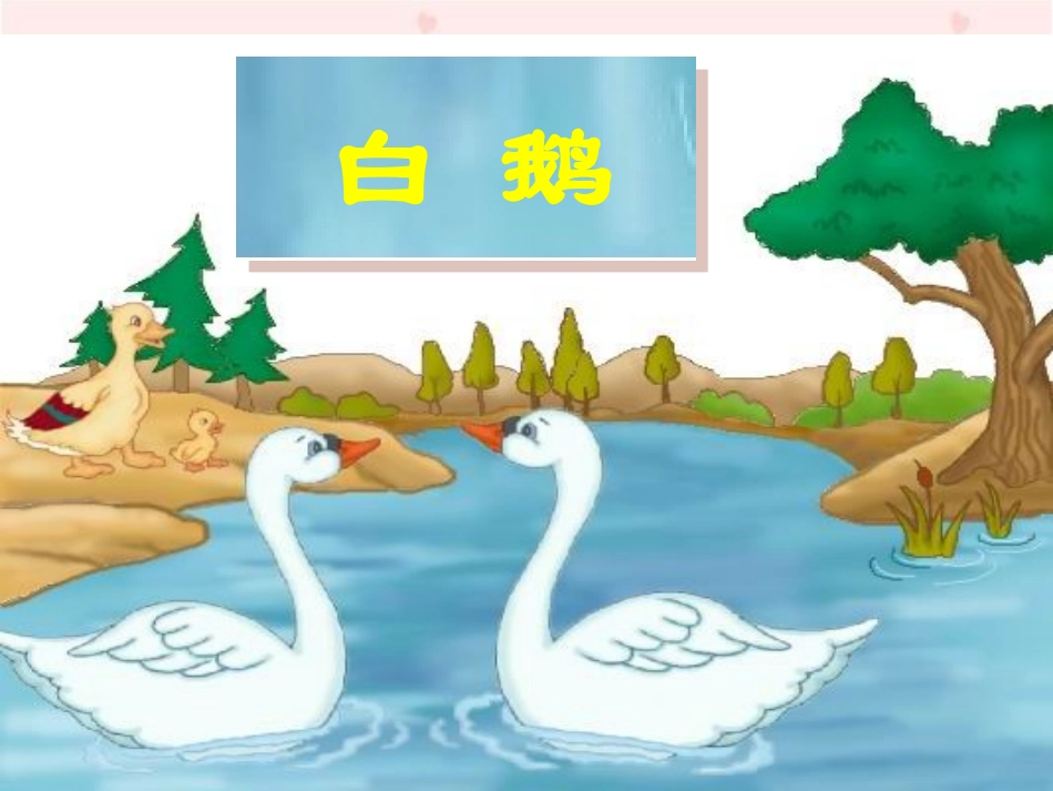 《白鹅》课件6_第1页