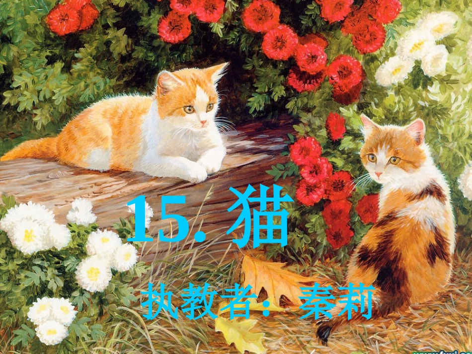 《猫》公开课课件3_第2页