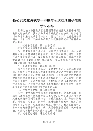 县公安局党员领导干部廉结从政准则廉政准则学习心得