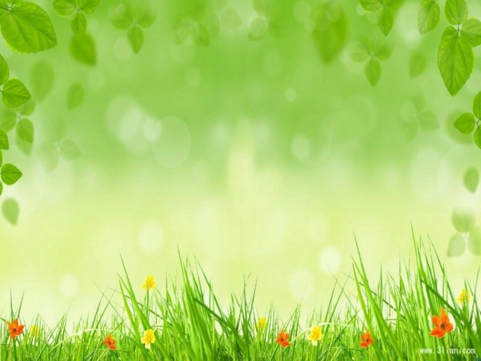 人教部编版jqx课件_第3页